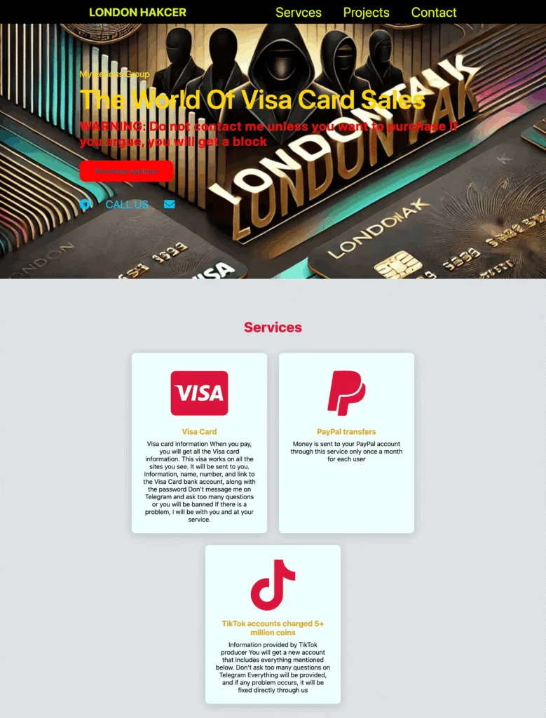 What the Website Looked Like – screenshot