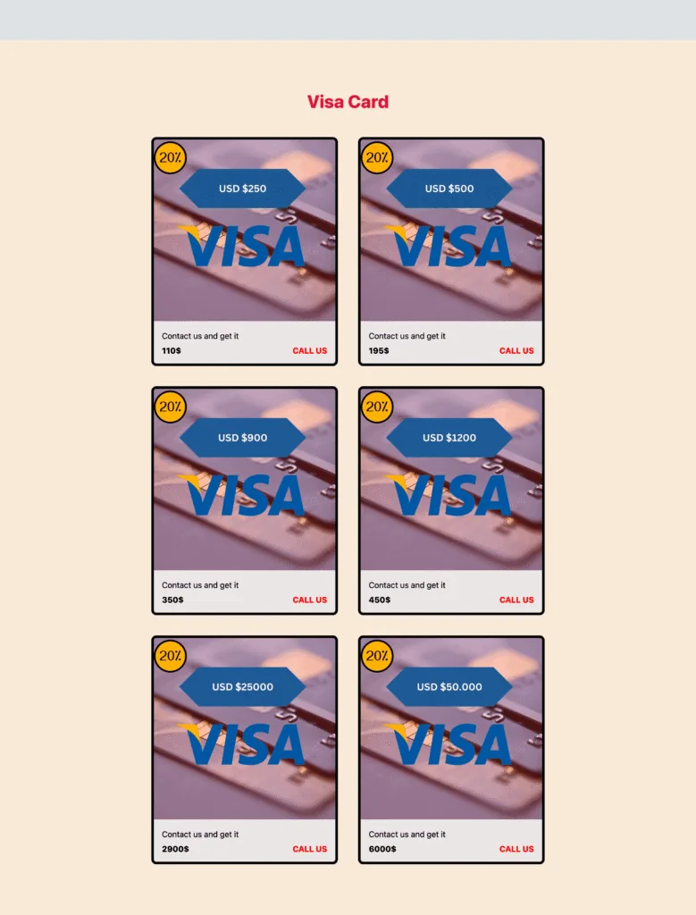 What the Website Looked Like – screenshot 2