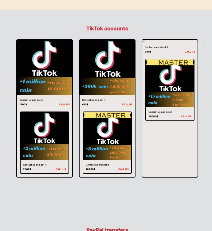 What the Website Looked Like – screenshot 3