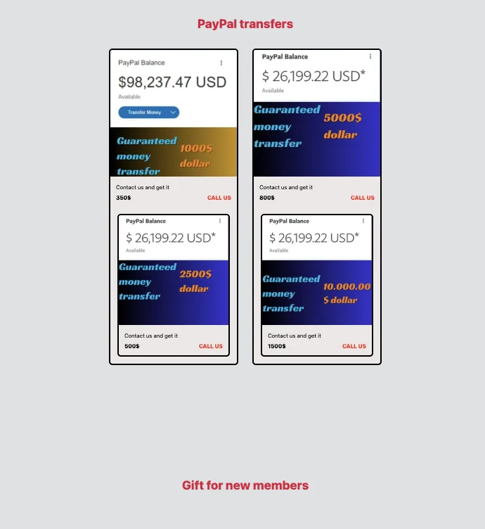 What the Website Looked Like – screenshot 4
